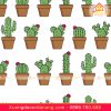 Giấy Decal dán tường xuongdecordanang