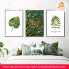 tranh-canvas-hoa-la-cay-tranh-hoa-la-thien-nhien-treo-tuong-phong-ngu-khach-van-phong-da-nang