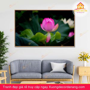 tranh treo tường hoa sen, tranh hoa sen, tranh liên hoa, tranh canvas hoa sen, tranh hoa sen nghệ thuật, tranh hoa sen và cá koi, hoa sen và cá chép