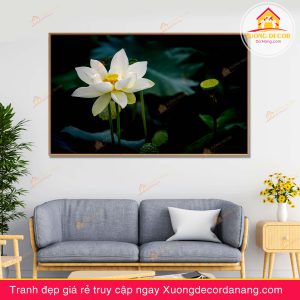 tranh treo tường hoa sen, tranh hoa sen, tranh liên hoa, tranh canvas hoa sen, tranh hoa sen nghệ thuật, tranh hoa sen và cá koi, hoa sen và cá chép